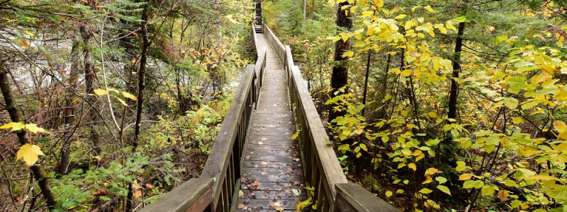 分类： <span src=